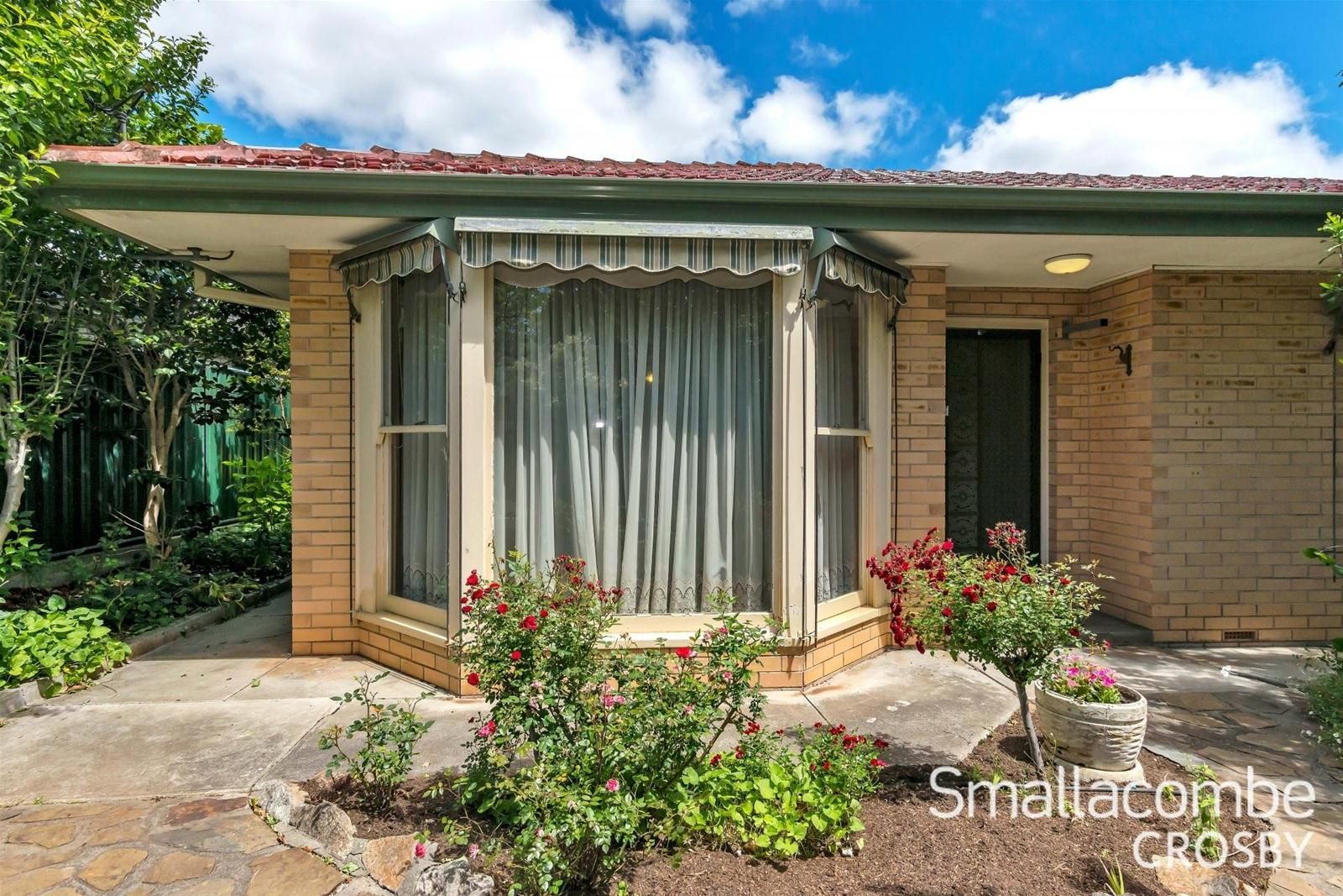 34 Cator Street, Glenside SA 5065, Image 2