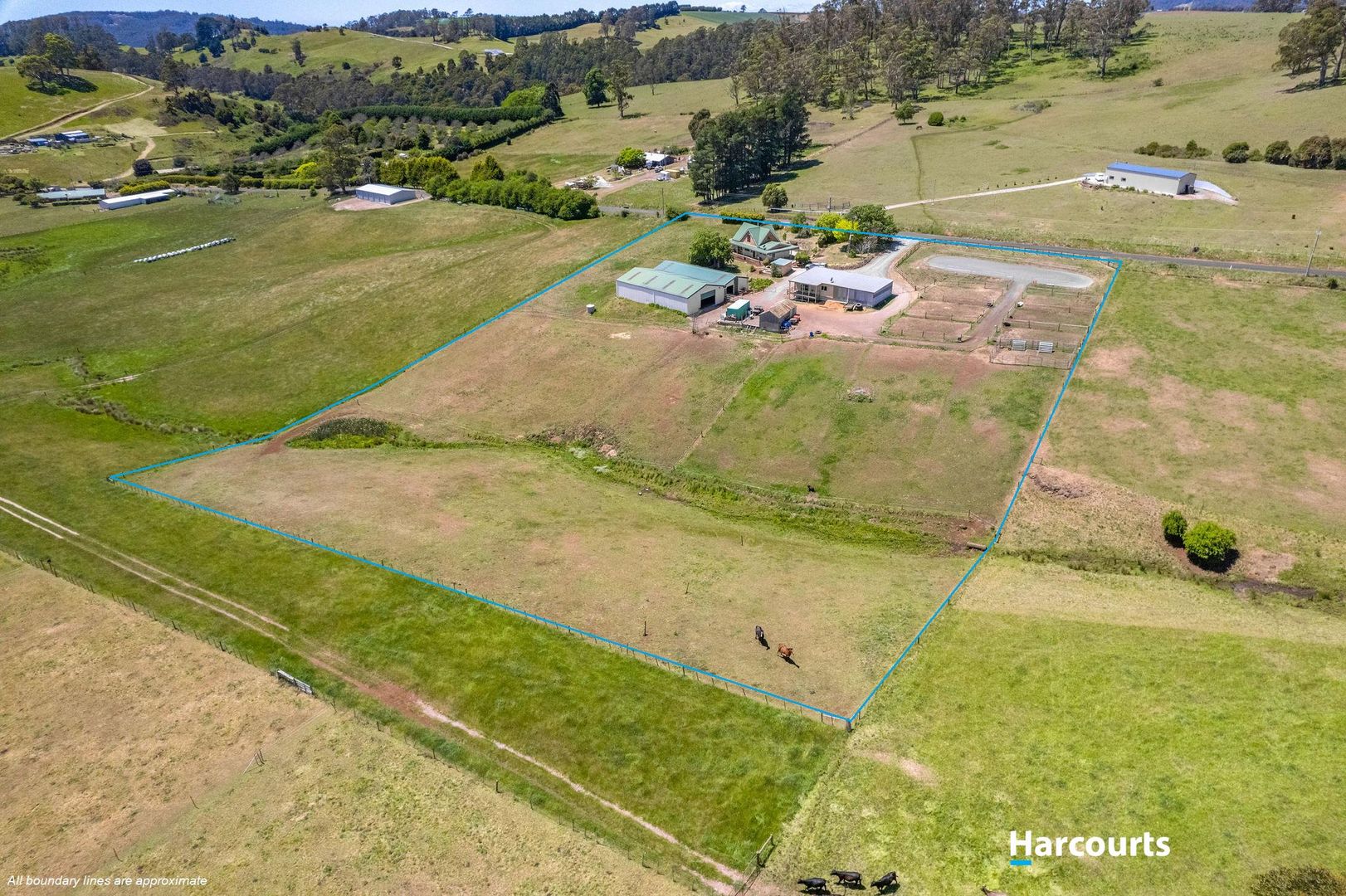 44 Lower Barrington Road, Paloona TAS 7310 Domain