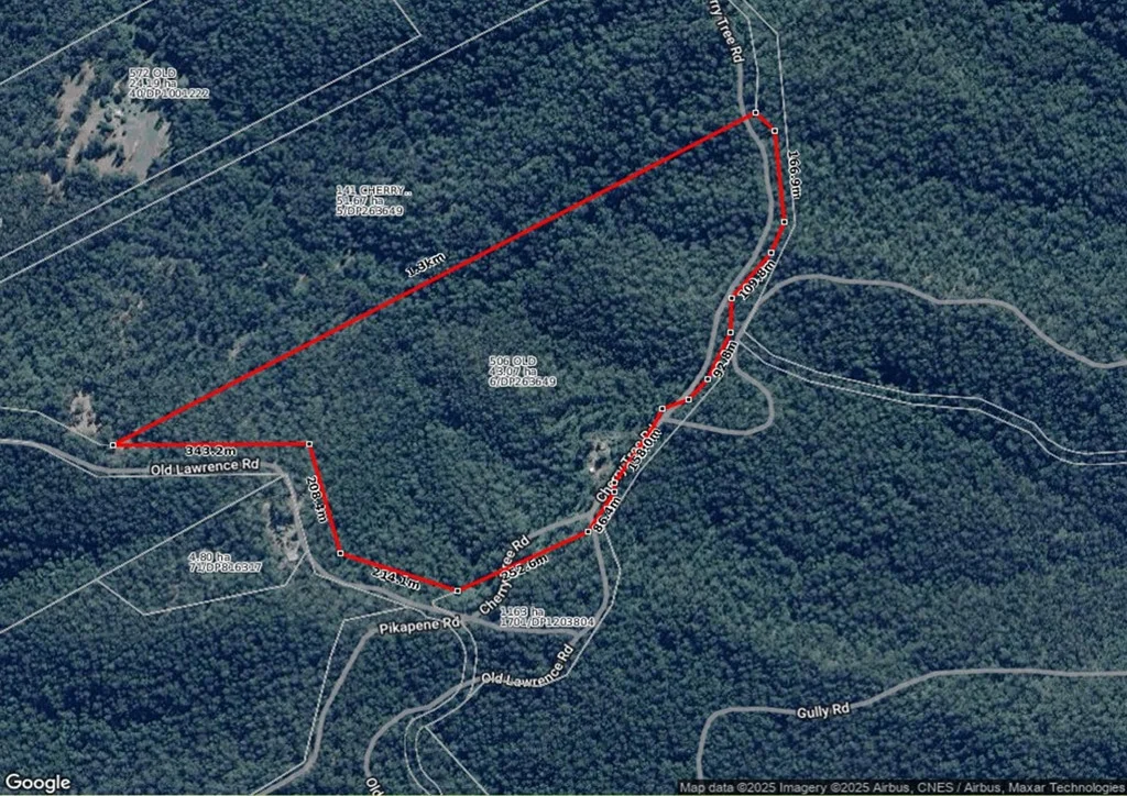 Image 12