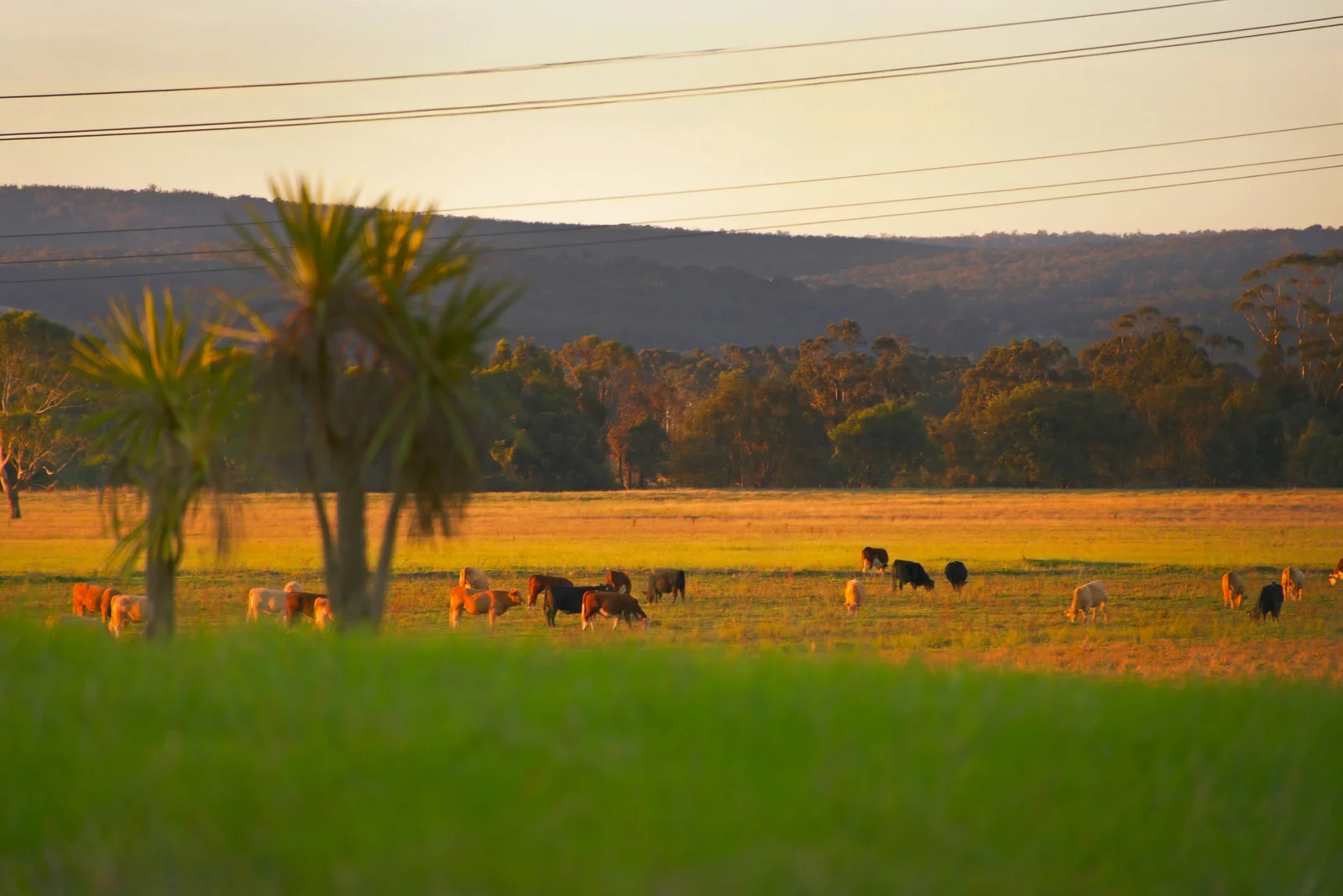 Additional image 21 of 89 Riverslea Boulevard, Traralgon VIC 3844