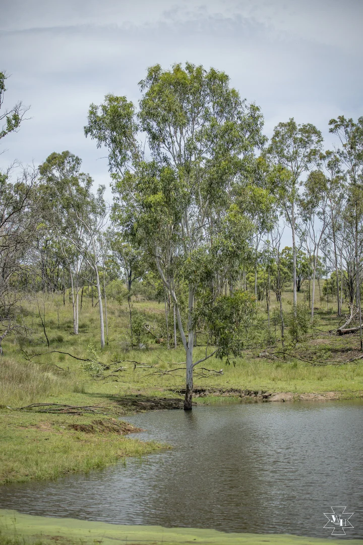 Image 8