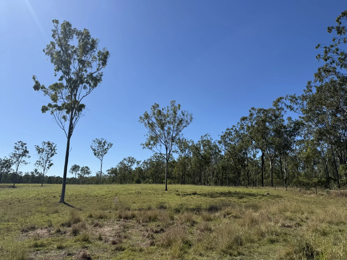 Image 18