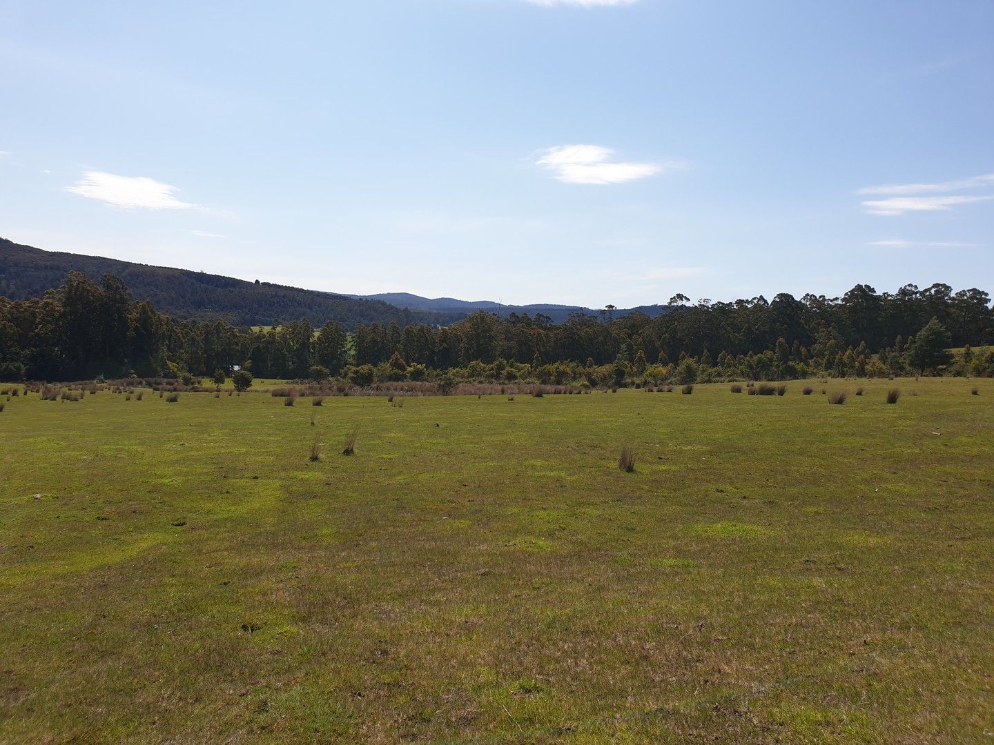 117 Costains Road, Geeveston TAS 7116 Vacant Land for Sale Domain