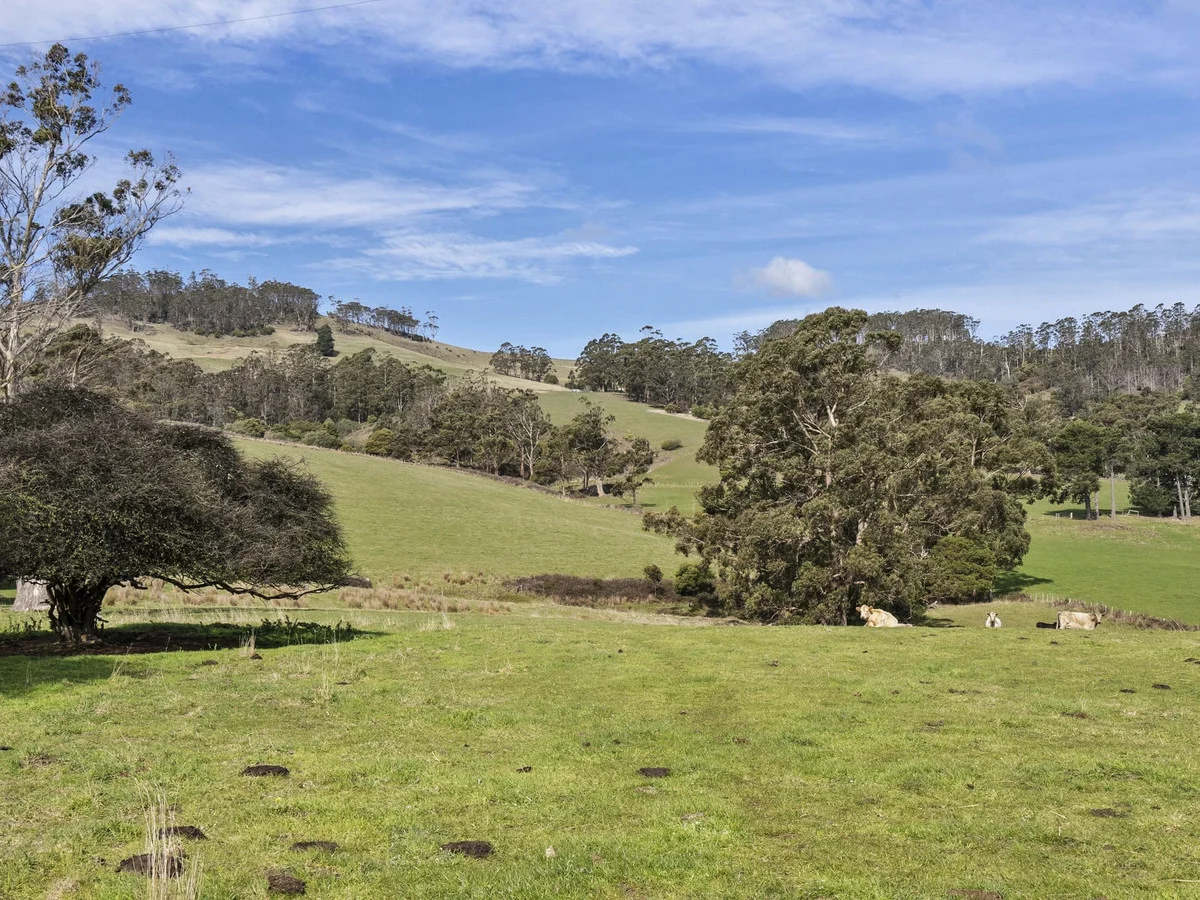 Image 15