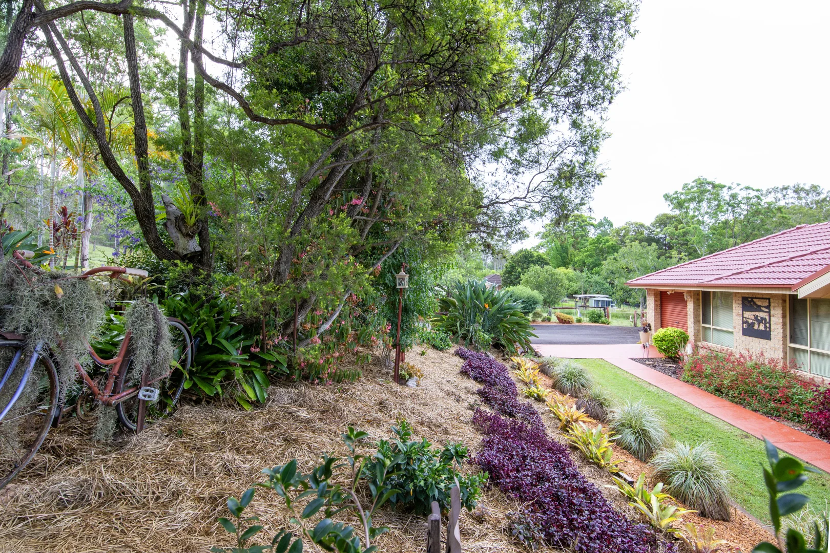 Additional image 35 of 178 Cedar Party Road, Taree NSW 2430