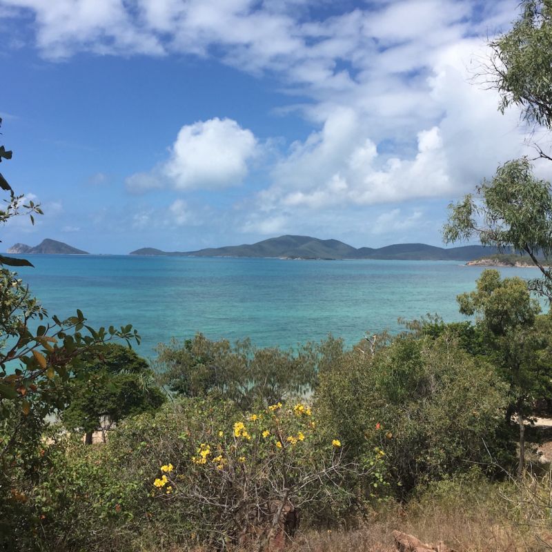 304/56 Blackcurrant Drive, Hideaway Bay QLD 4800 Domain