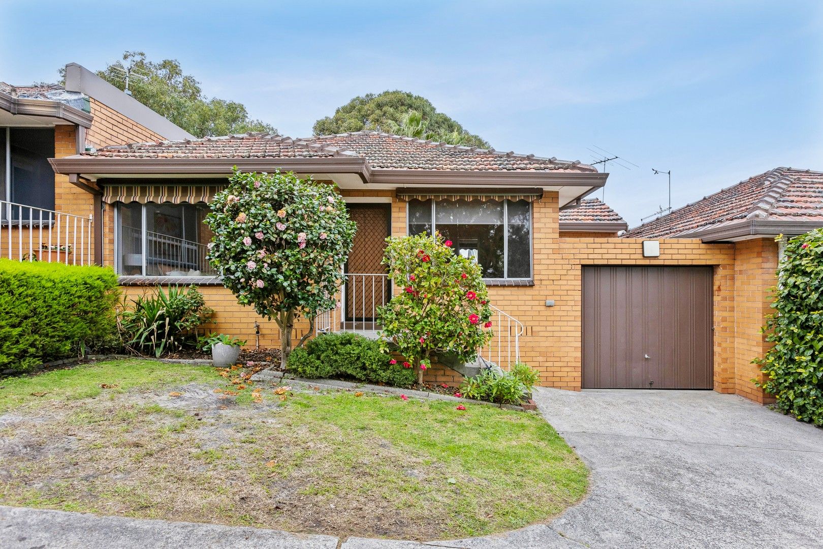 3 228 Balcombe Road Mentone