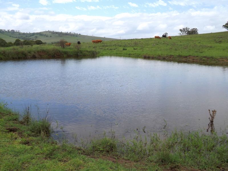 Lot 10 Golden Highway, Jerrys Plains NSW 2330, Image 1