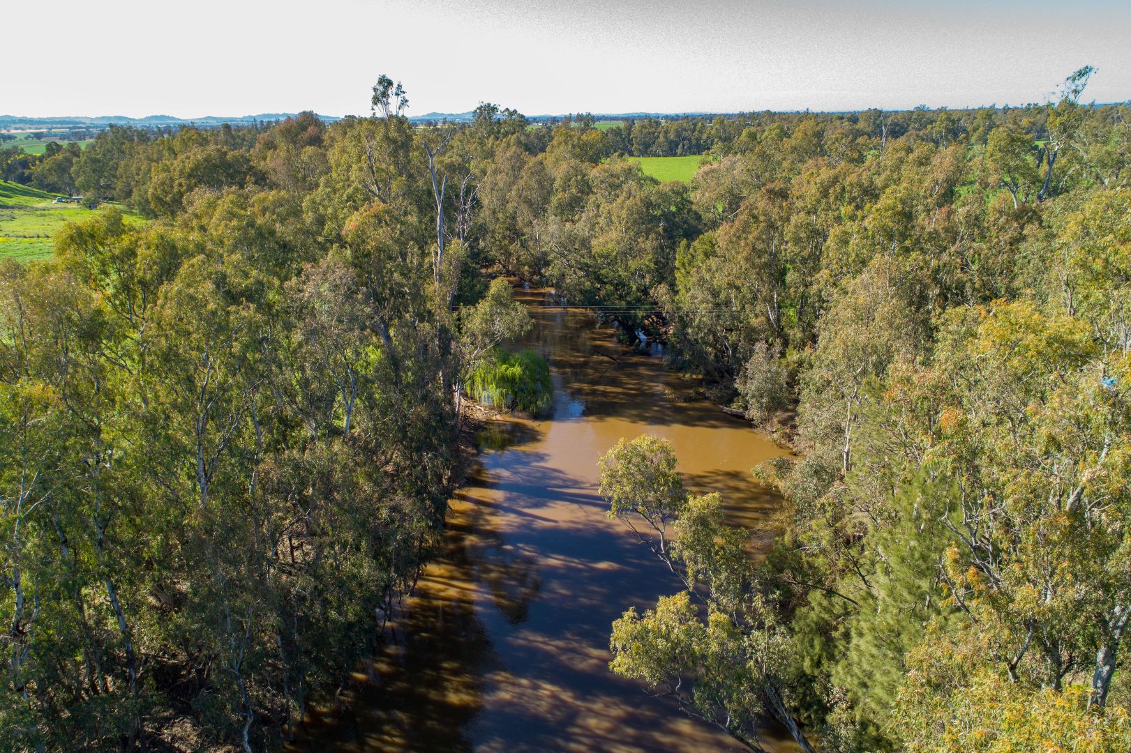 Cultowa Road, Canowindra NSW 2804, Image 1