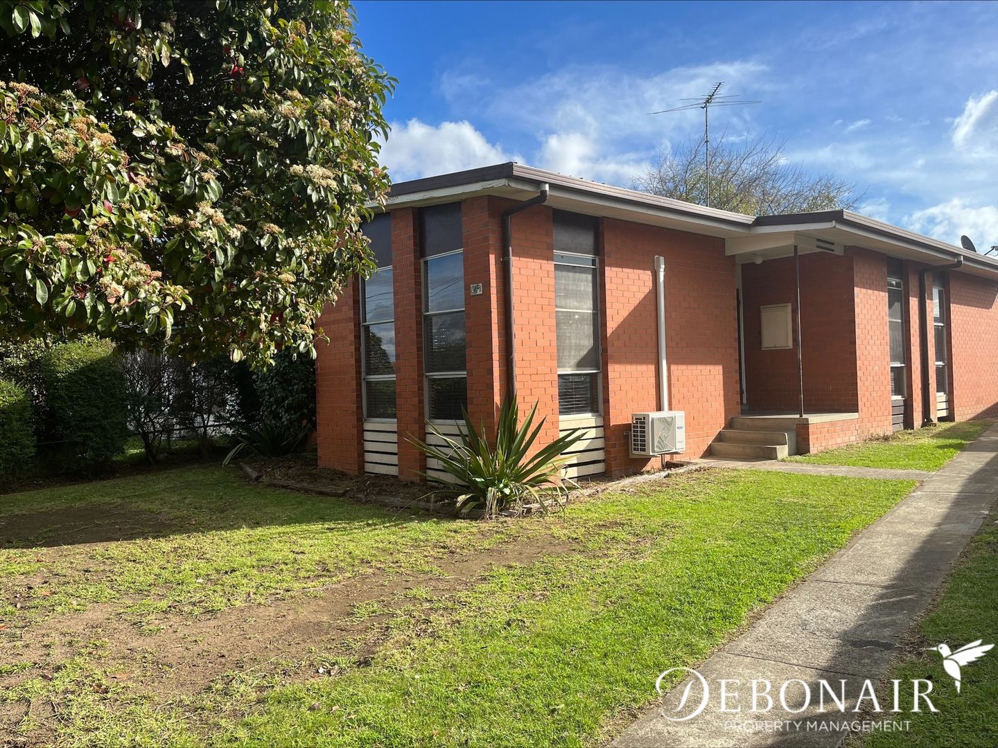 4 Young Street, Breakwater VIC 3219 House For Rent Domain