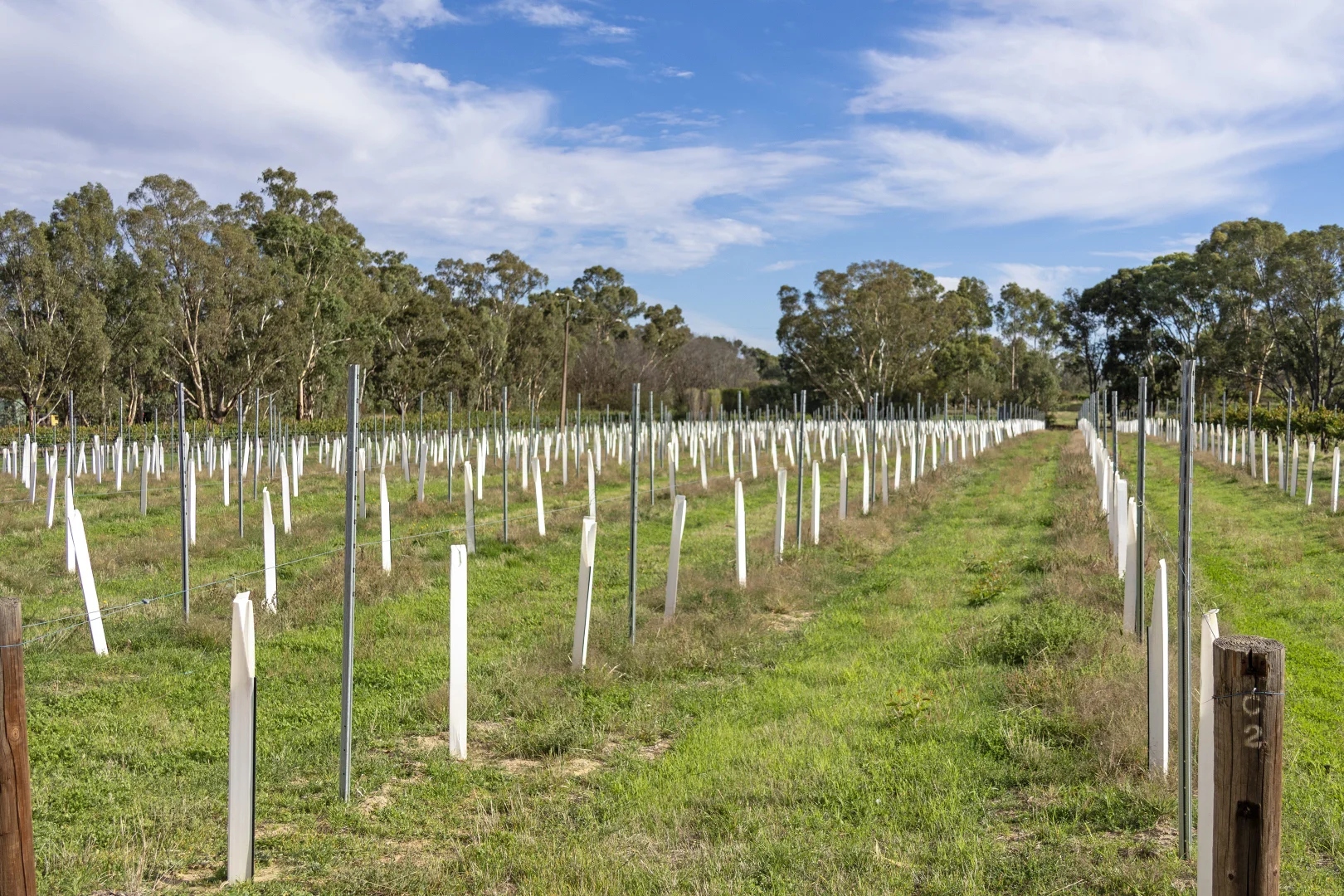 Additional image 26 of 273 Polish Hill River Road, Polish Hill River SA 5453