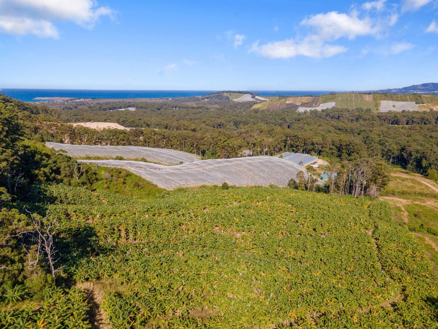 Lot 1 Greys Road, Woolgoolga NSW 2456 Vacant Land for Sale Domain
