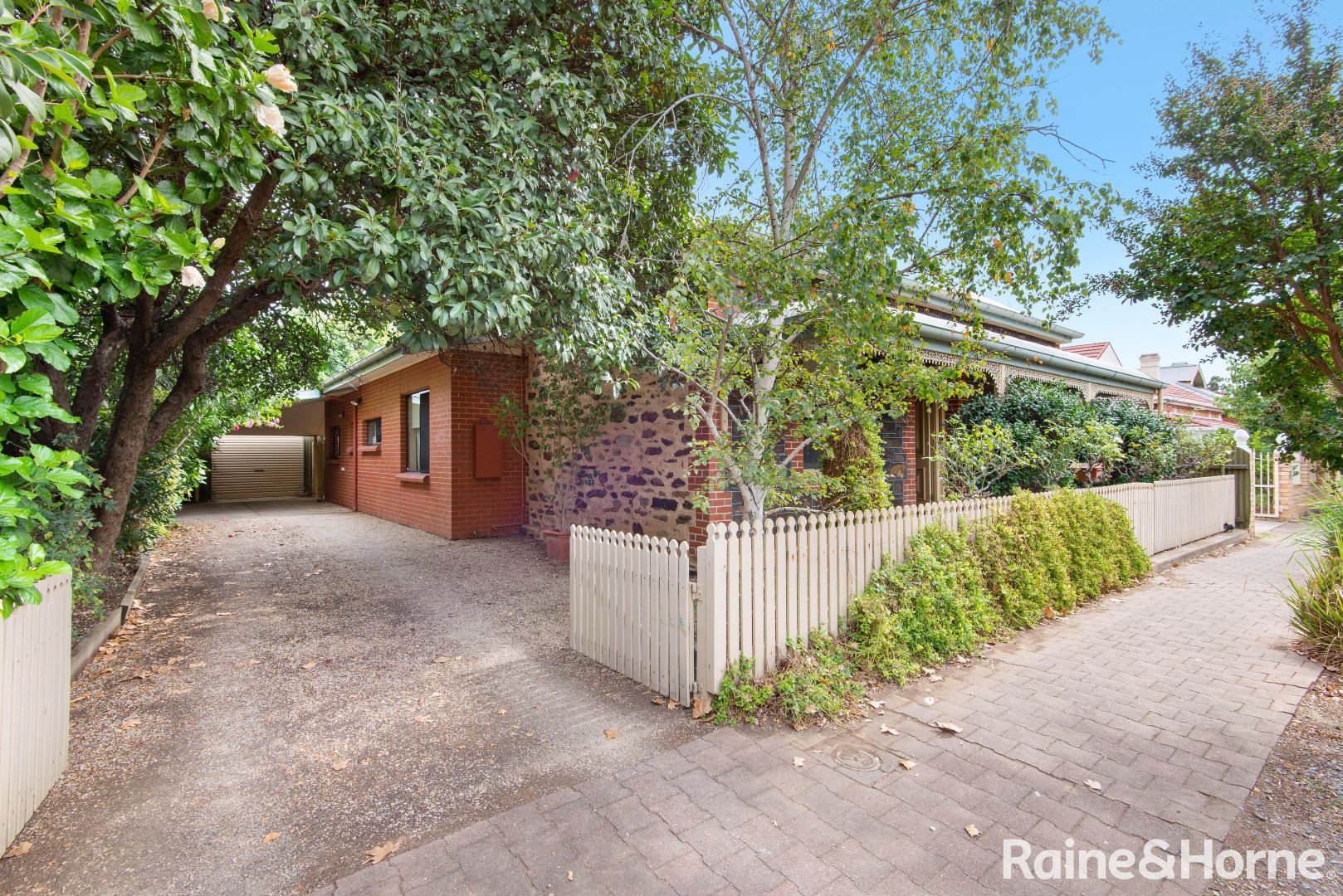 66 Essex Street South, Goodwood SA 5034, Image 2