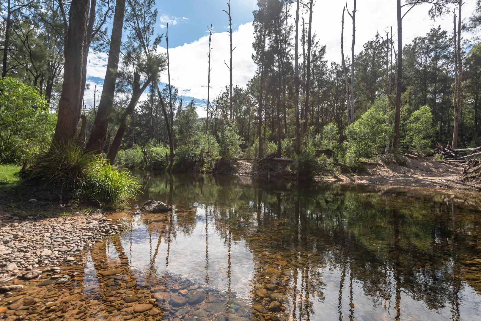 Additional image 8 of 2593 Araluen Road, Deua River Valley NSW 2537