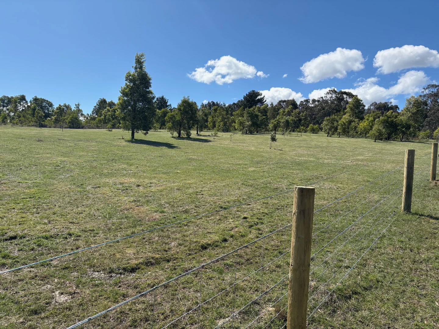 Image 13