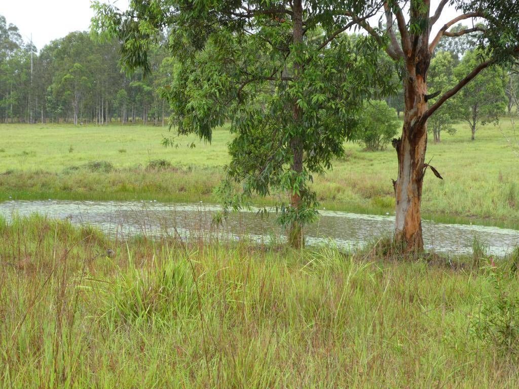 Burrell Creek NSW 2429, Image 0