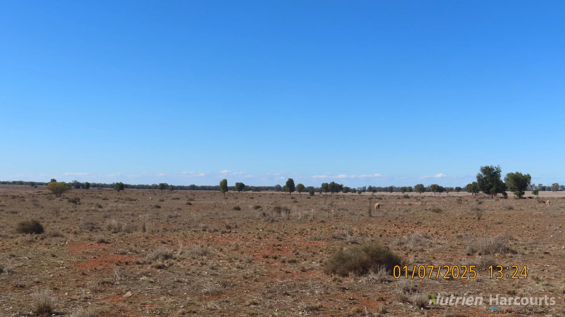 Image 10