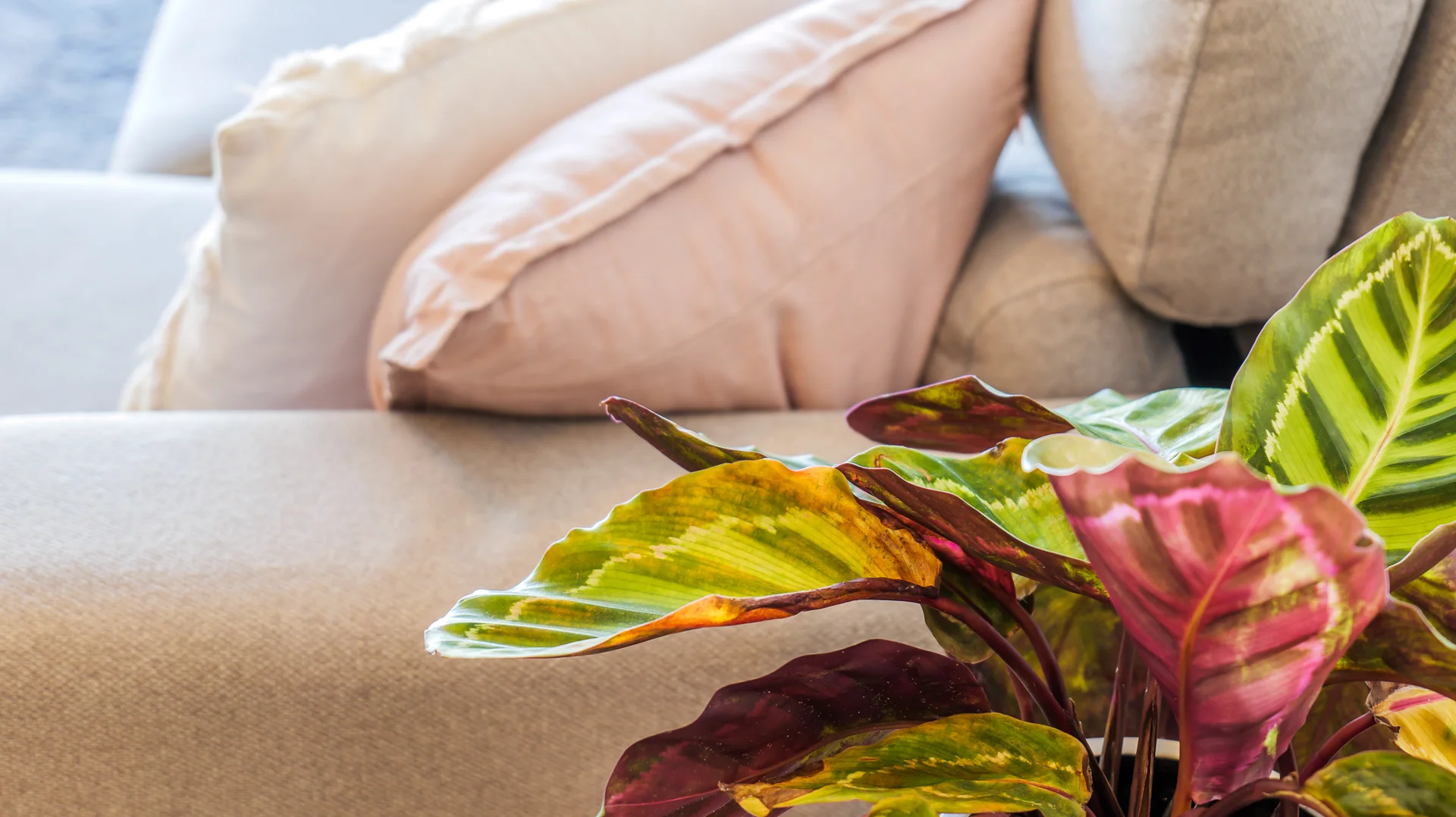 Additional image 11 of Unit 2704/1 Grant Ave, Hope Island QLD 4212