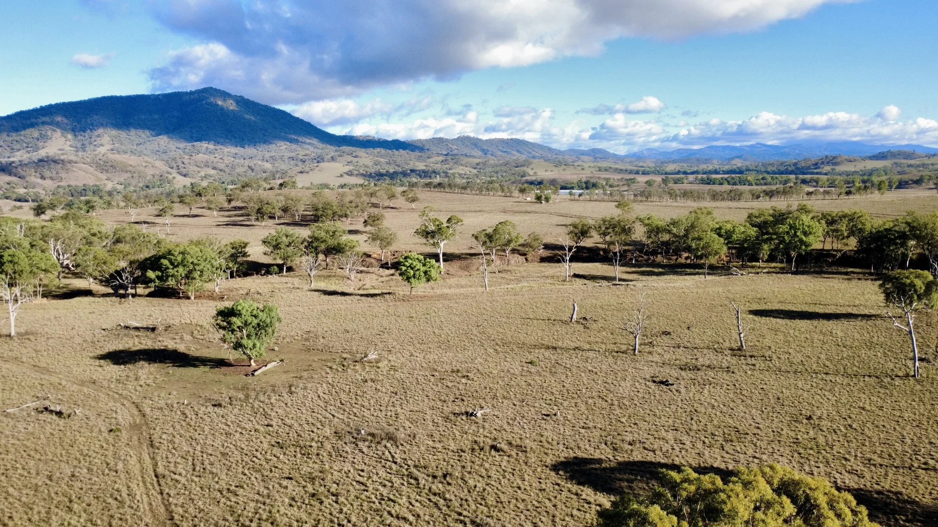 Additional image 11 of "Waverly Paddock" Waverley Road Waverly (Via), Scone NSW 2337