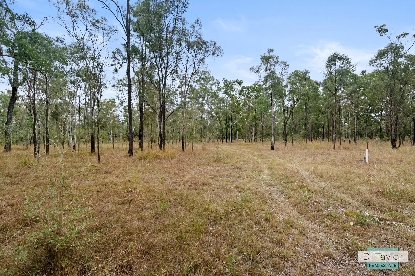 Additional image 15 of 64-92 Tea Tree Ave, Mount Forbes QLD 4340