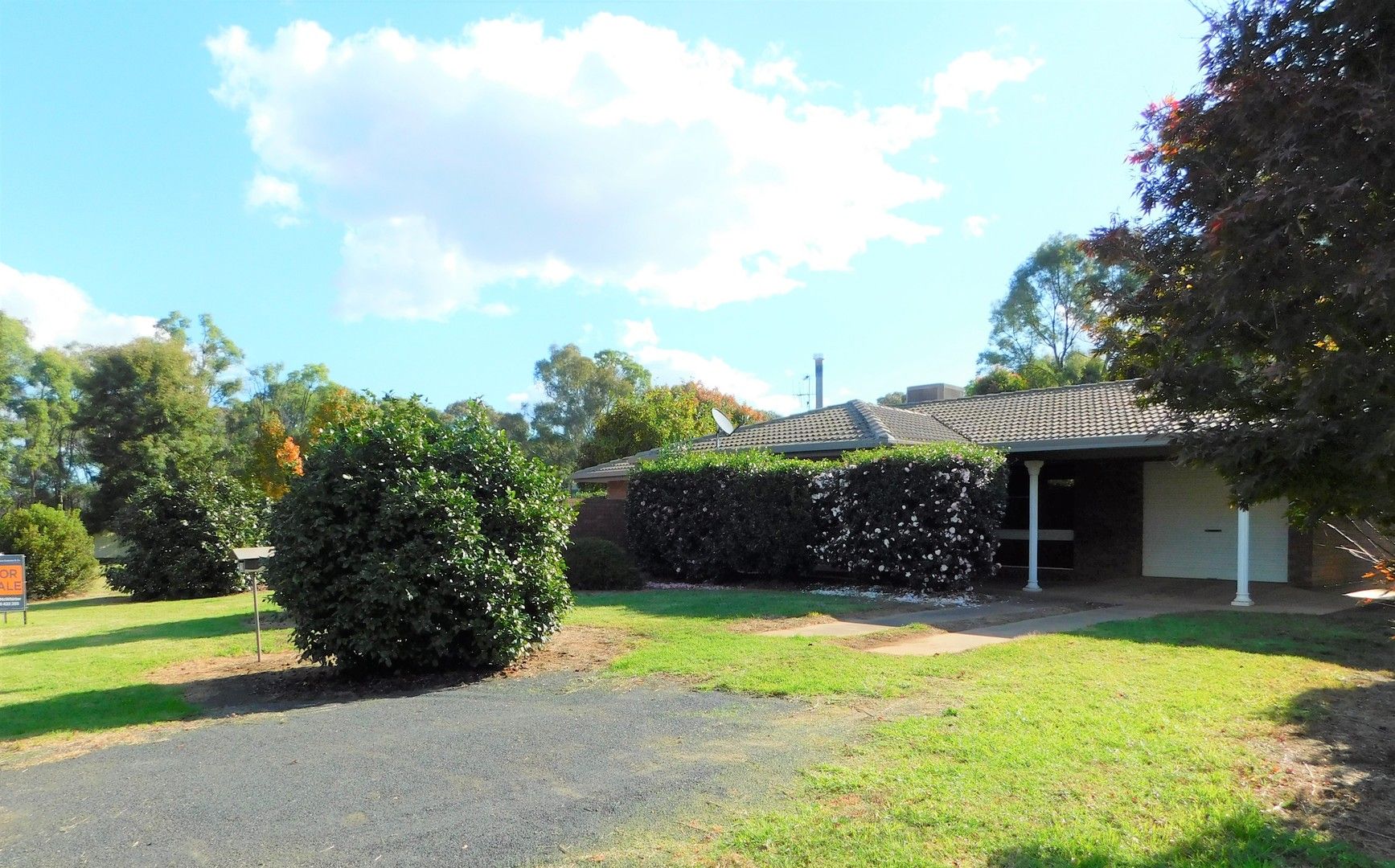 2 Burns Street, Coonabarabran NSW 2357, Image 0