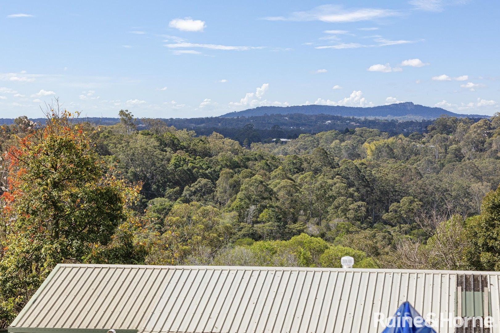 31 Crows Ash Lane, Black Mountain QLD 4563 Domain