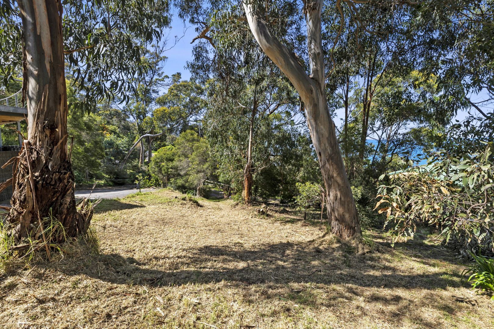 10 Cara Court, Kennett River VIC 3234, Image 2