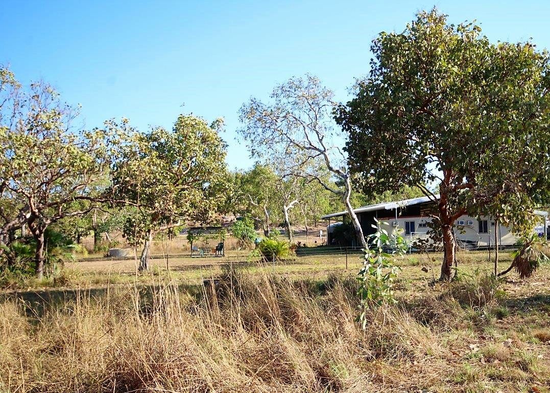 203 Dorat Road, Adelaide River NT 0846 House for Sale Domain