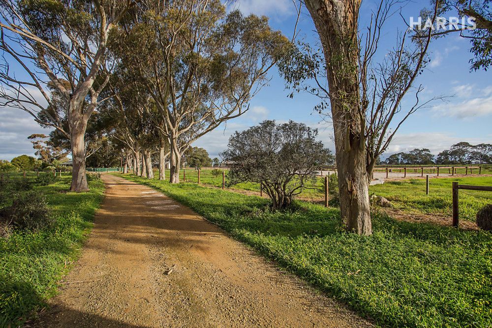 410 Angas Plains Road, Langhorne Creek SA 5255, Image 1