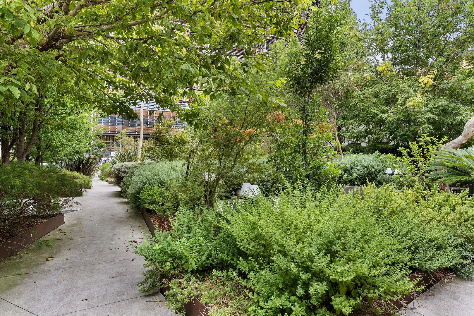 Image 21
