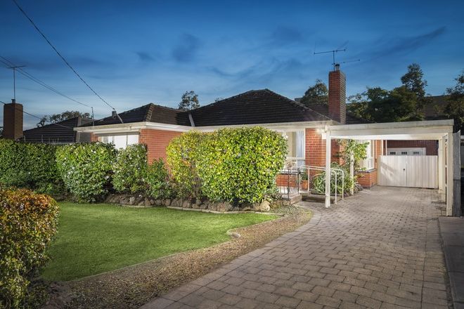 Picture of 49 Dorothy Street, BURWOOD EAST VIC 3151