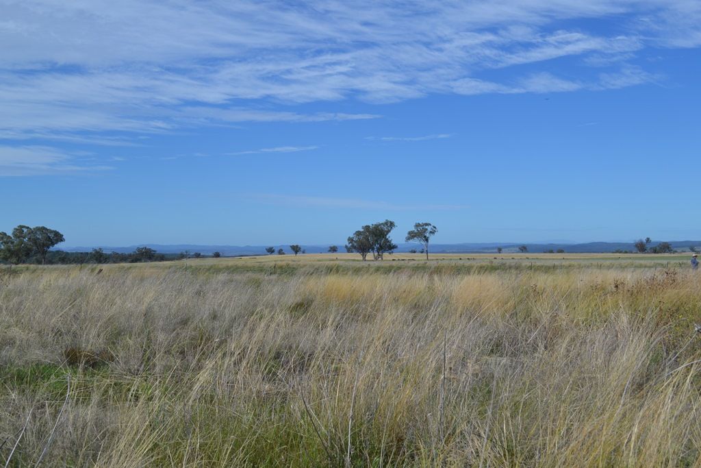 Lot 9,10,11 Adams Scrub Road, Delungra NSW 2403, Image 2