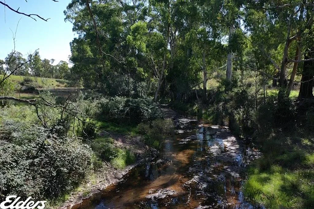 Image 13