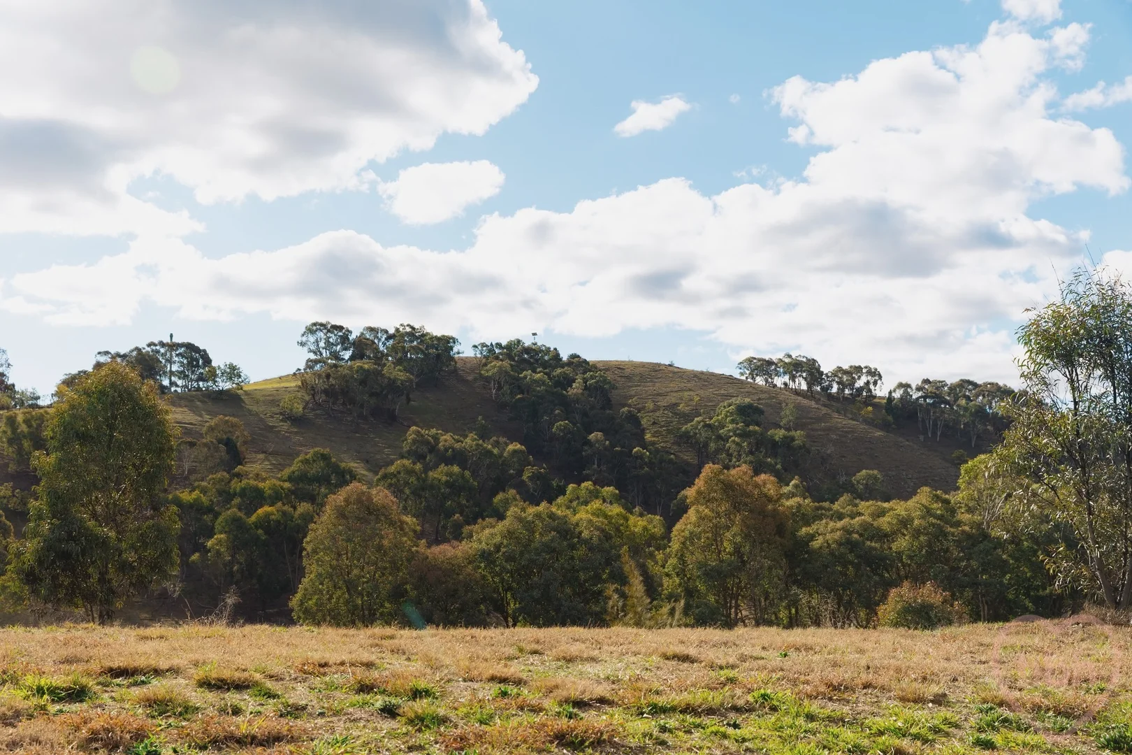 Additional image 35 of 24 Digby Circuit, Crace ACT 2911