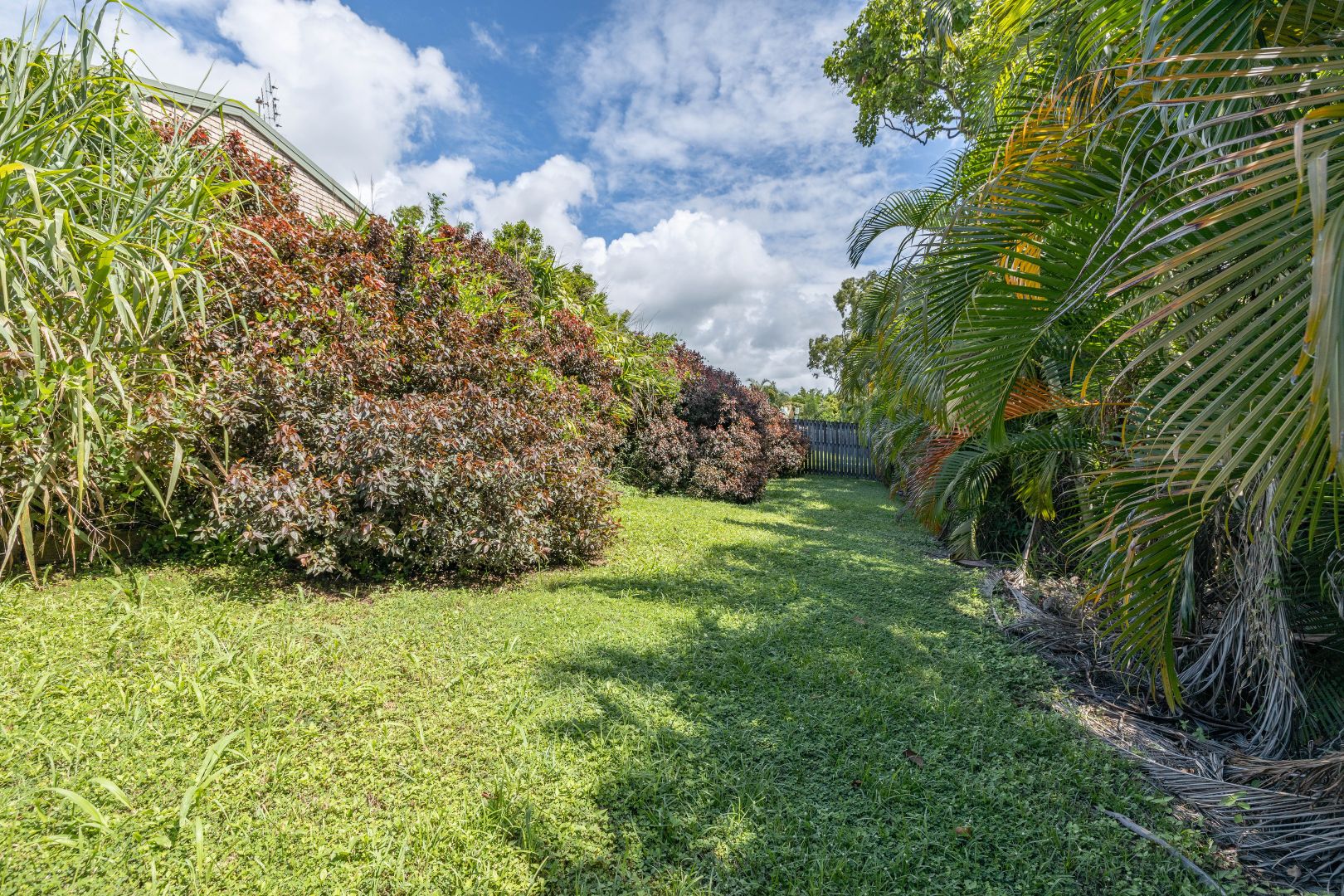 24 South Molle Boulevard, Cannonvale QLD 4802, Image 1