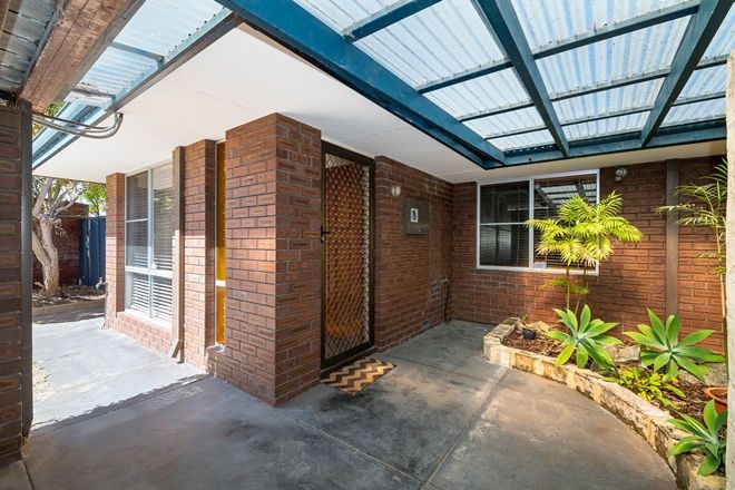 Picture of 4A Conroy Place, HILLARYS WA 6025