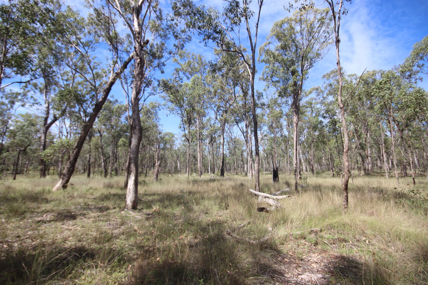 Allies Creek Road, Monogorilby QLD 4626, Image 2