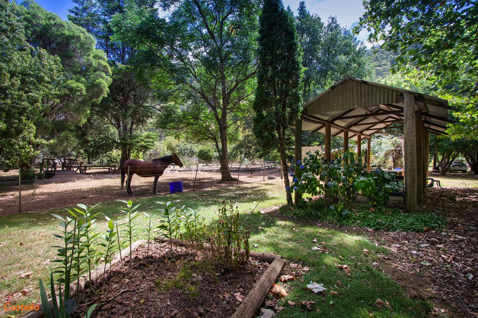 2942 Benambra-corryong Rd, Nariel Valley VIC 3707, Image 1