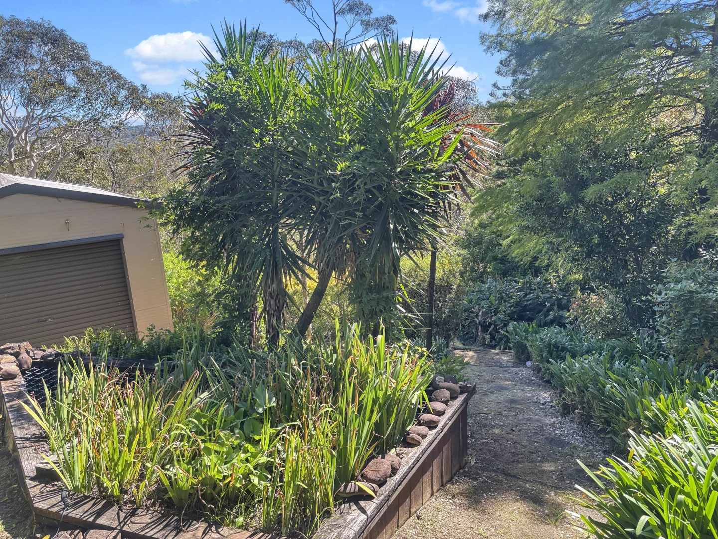 Additional image 11 of 41 Valley Road, Hazelbrook NSW 2779