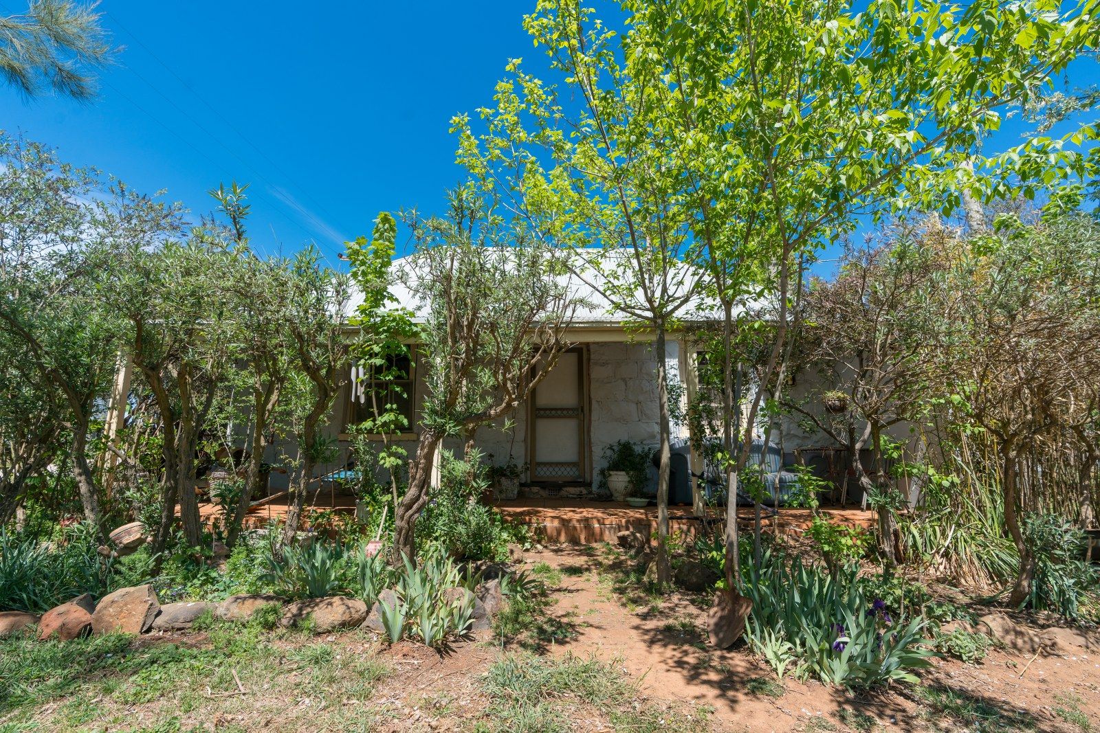 271 Forest Reefs Road, Millthorpe NSW 2798, Image 2
