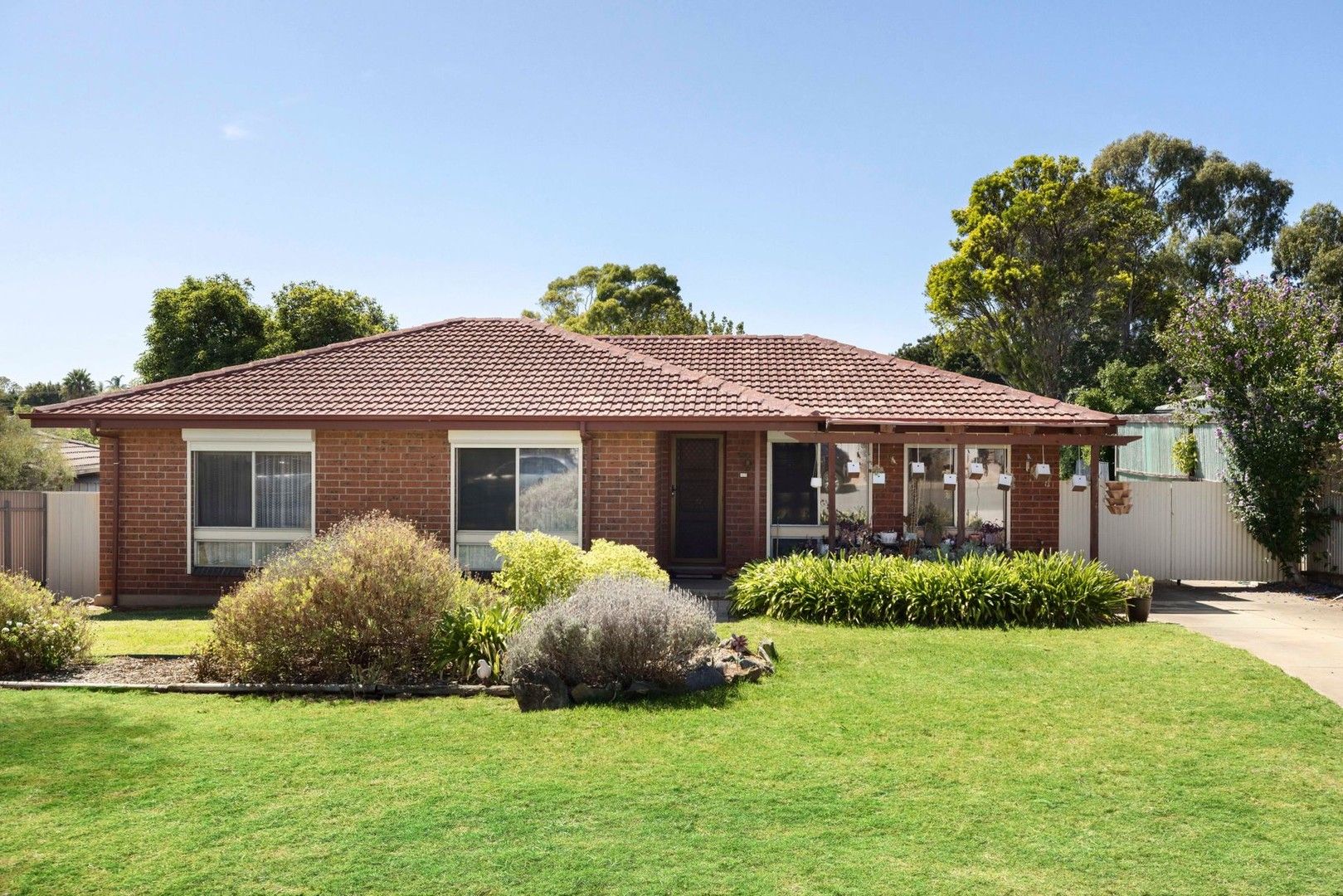 38 Kathryn Drive, Morphett Vale SA 5162, Image 0