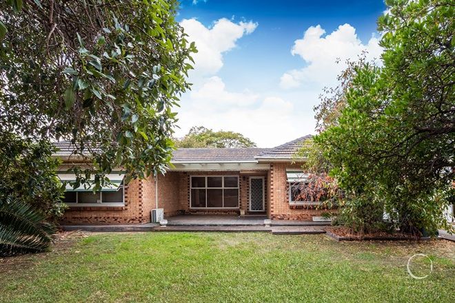 Picture of 6 Elba Avenue, LOCKLEYS SA 5032