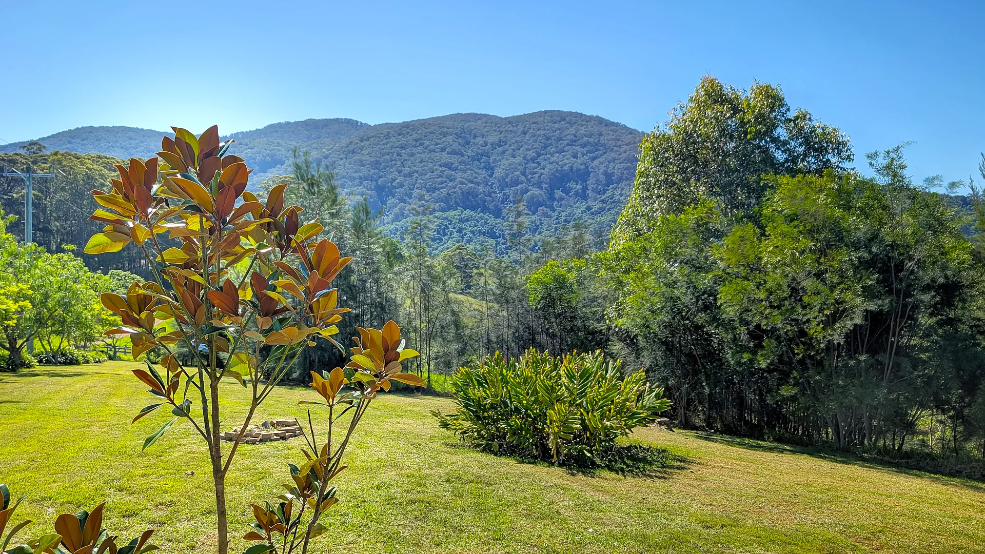 Additional image 3 of 9050 Springhills Road, Tilba Tilba NSW 2546