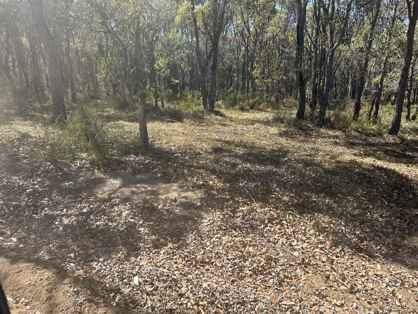 Lot 185 Mondurup, Mount Barker WA 6324, Image 2