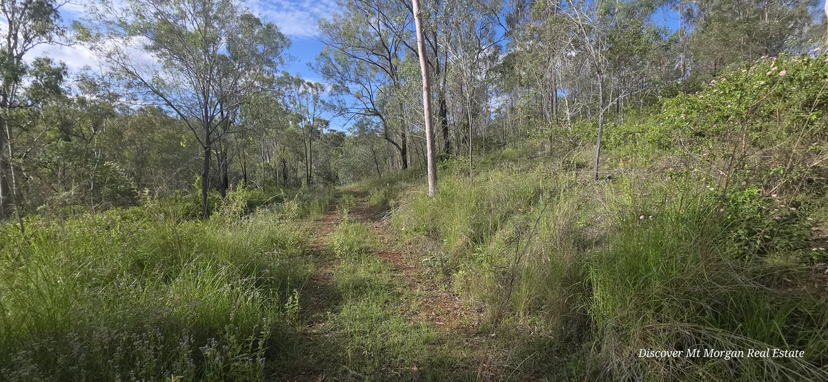 Image 14