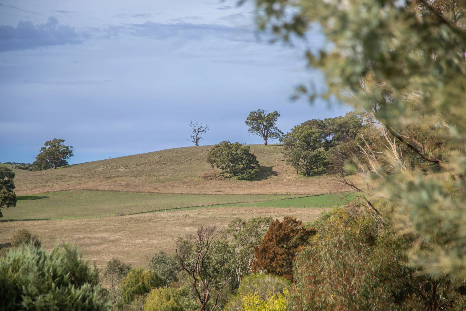 Additional image 19 of 2/5 Elder Street, Nairne SA 5252