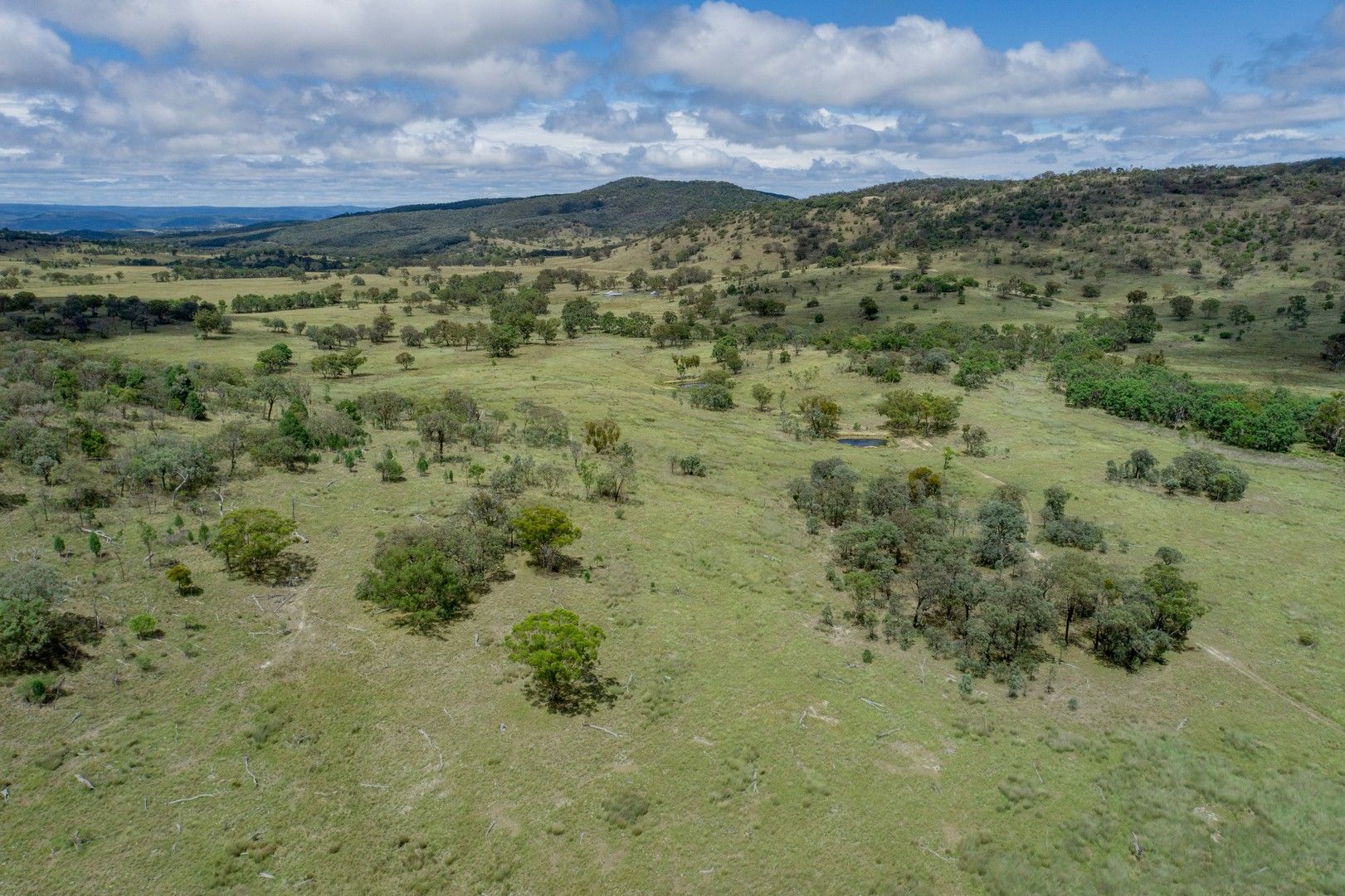 1490 Back Creek Road, Back Creek NSW 2372, Image 0