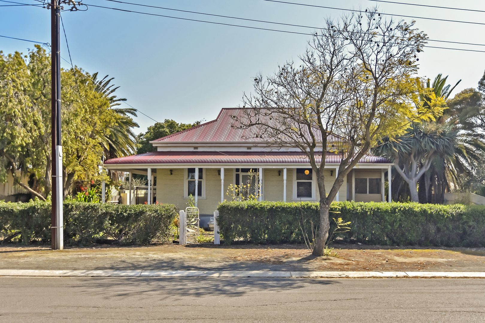 43 Borrow Street, Freeling SA 5372, Image 1