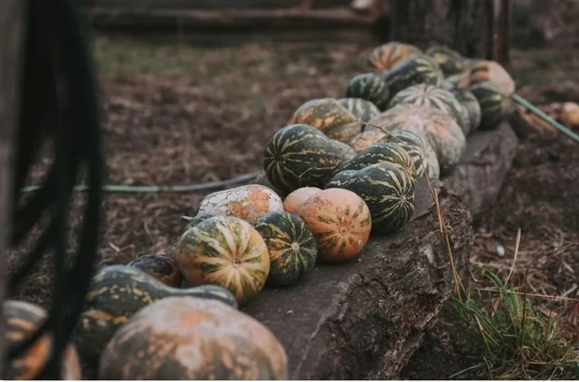 Additional image 80 of 103 Rural Road, Nanango QLD 4615