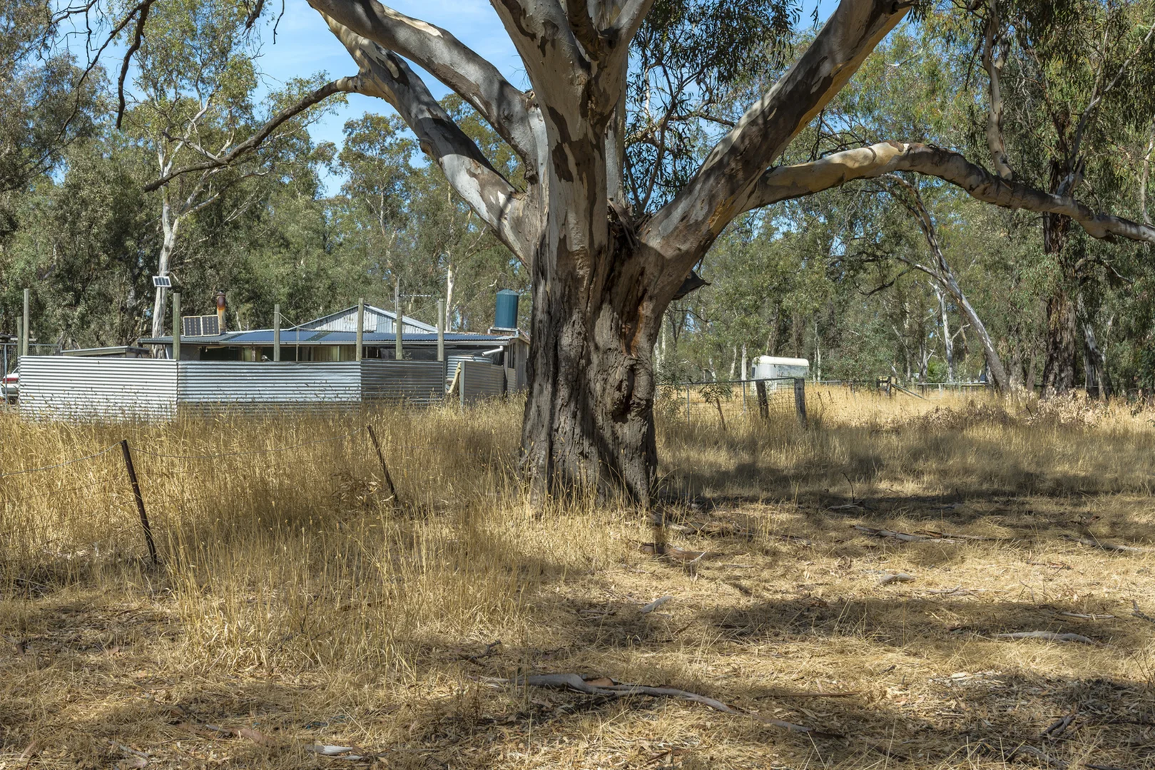 Image 10